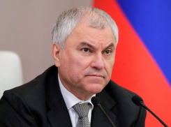 Вячеслав Володин: принятые пять лет назад поправки к конституции повысили социальную защищенность граждан