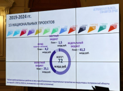 Губернатору доложили о реализации 13 нацпроектов в Астраханской области