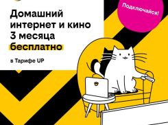 Базя, Пинг и Пуш сделают первые 3 месяца домашнего интернета с кинотеатром и цифровым ТВ бесплатными