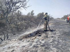 Нашли причастных к ужасному пожару под Астраханью, где сгорели десятки домов
