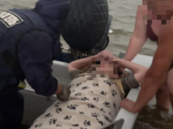 На пляже в Астрахани на женщину упало дерево