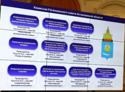 Созданный в Астраханской области региональный совет провел первое заседание