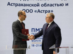 В Астраханской области создадут рейдовый перевалочный комплекс сыпучих грузов