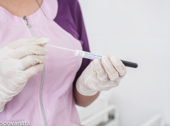 В Астрахани вакцины от бешенства хватит на три месяца