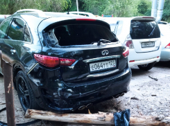 Элитное авто стало жертвой астраханского дерева 