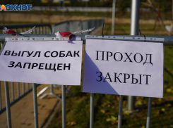 В Волге обнаружили патогенные микроорганизмы после коммунальной аварии в Волгограде
