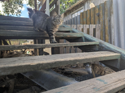 Прогноз погоды, именины, праздники в субботу 29 июня