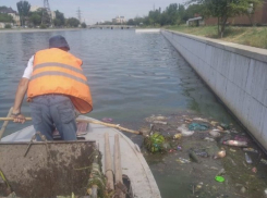 С поверхности астраханских каналов собрали десятки тонн мусора