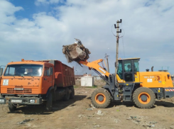 Из Астрахани убрали почти семьсот нелегальных свалок за первый квартал