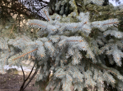 Погода, праздники, именины в субботу 13 января 