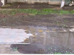 В Астрахани вместо деревьев поливают асфальт