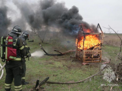 В Астраханской области усилят контроль за ландшафтными пожарами