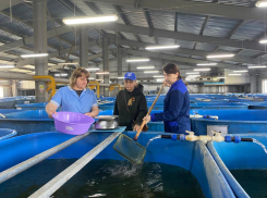 В реки Астраханской области в огромном количестве уплыли очень редкие рыбы