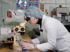 Астраханцам назвали риски приобретения рыбы «с земли»