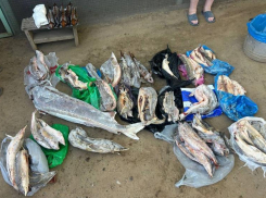 Астраханца задержали за найденные на берегу реки банки с черной икрой