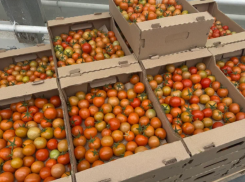 Крупная астраханская агрокомпания открыла вакансии с зарплатами до 180 тысяч