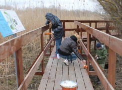 Астраханский заповедник приглашает поучаствовать в волонтерских экспедициях