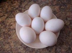 Астраханский минсельхоз назвал признаки качественных куриных яиц