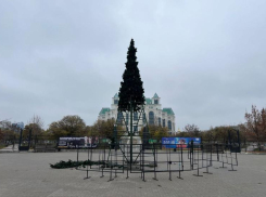 Астраханцам раскрыли расположение всех новогодних елок в городе