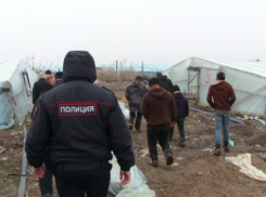 Под Астраханью в тепличном комплексе разоблачили работников-нелегалов