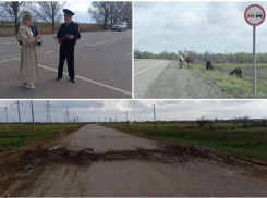Полицейские выявили недостатки региональных дорог в Астраханской области