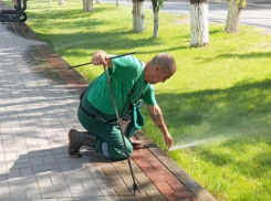В Астрахани хотят ужесточить наказание за нарушение правил благоустройства
