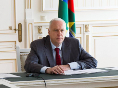 На астраханку напали собаки: глава СК поручил возбудить уголовное дело