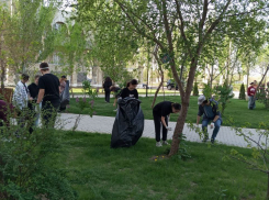 В астраханском сквере Строителей прошла акция по озеленению 