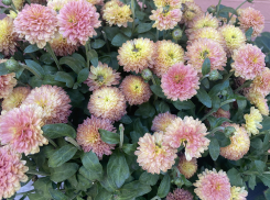 Погода, праздники, именины во вторник 24 октября