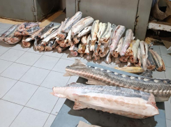 За приобретение краснокнижных осетров астраханцу предъявляют многомиллионный ущерб