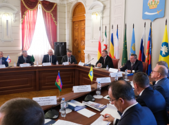 Парламентарии юга рассмотрели инициативы Думы Астраханской области