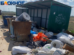 Вице-губернатор призвал всех астраханцев включиться в борьбу с мусором