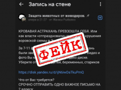 Фейк о массовом убийстве собак в Астрахани гуляет по соцсетям