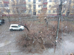 В Астрахани специалисты устраняют последствия двухдневной непогоды