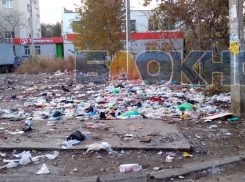 В Астрахани за общежитием консерватории, как снежный ком, растет свалка