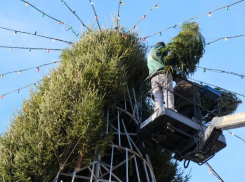 В Астрахани поставят гигантское новогоднее дерево по многолетнему обычаю