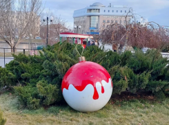 Астраханцев возмутила продолжительность новогодних каникул