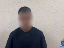 Астраханца, схватившего лебедя за шею, нашли полицейские