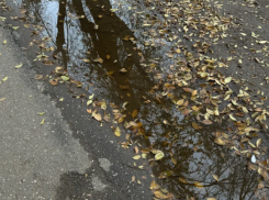 МЧС: на Астраханскую область движутся заморозки