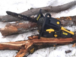 В Астраханской области нарушили санитарную безопасность лесов