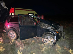 Под Астраханью водитель и пассажиры «Лады» пострадали в ДТП с лошадью