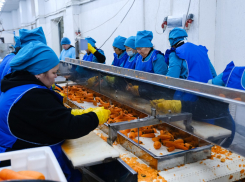 Астраханский завод произвел 2,6 тысячи тонн замороженных овощей, часть отправилась по России