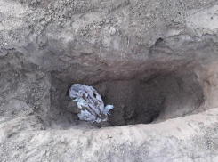 В Астрахани волгоградцы жестоко убили и закопали владельца дорогой иномарки 