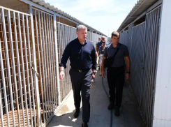 Астраханский губернатор поручил расширить собачий приют в Наримановском районе