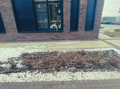 В Астрахани проводится проверка по факту падения ребенка из  окна