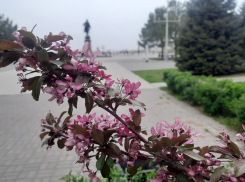 В субботу астраханцев ждет адская жара