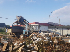 За полгода из Астрахани вывезли свыше 5000 тонн мусора