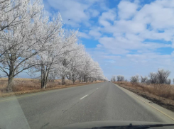 В Астраханской области появился первый автомобильный тур для «диких» путешествий