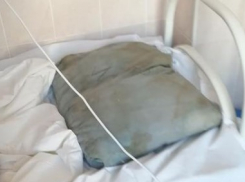 «Это отдельный вид искусства»: в каких условиях лежат пациенты астраханской инфекционки