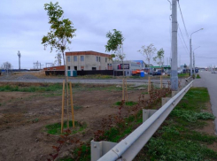 В Астрахани создают все больше зеленых зон